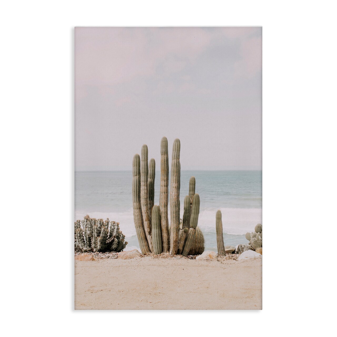 Stupell Industries Cactus on Beach Shore Canvas Wall Art Design by Sisi and Seb